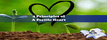 4 Principles of a Fertile Heart: Insights from Mark 4:1-20