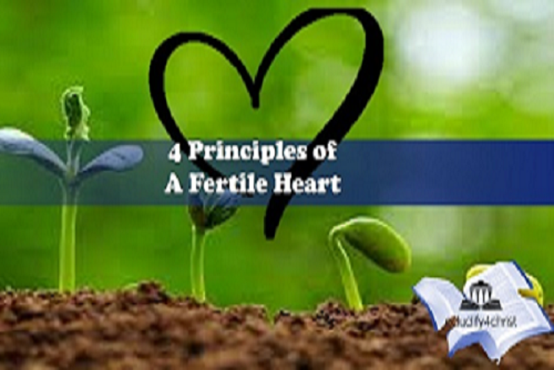 4 Principles of a Fertile Heart: Insights from Mark 4:1-20